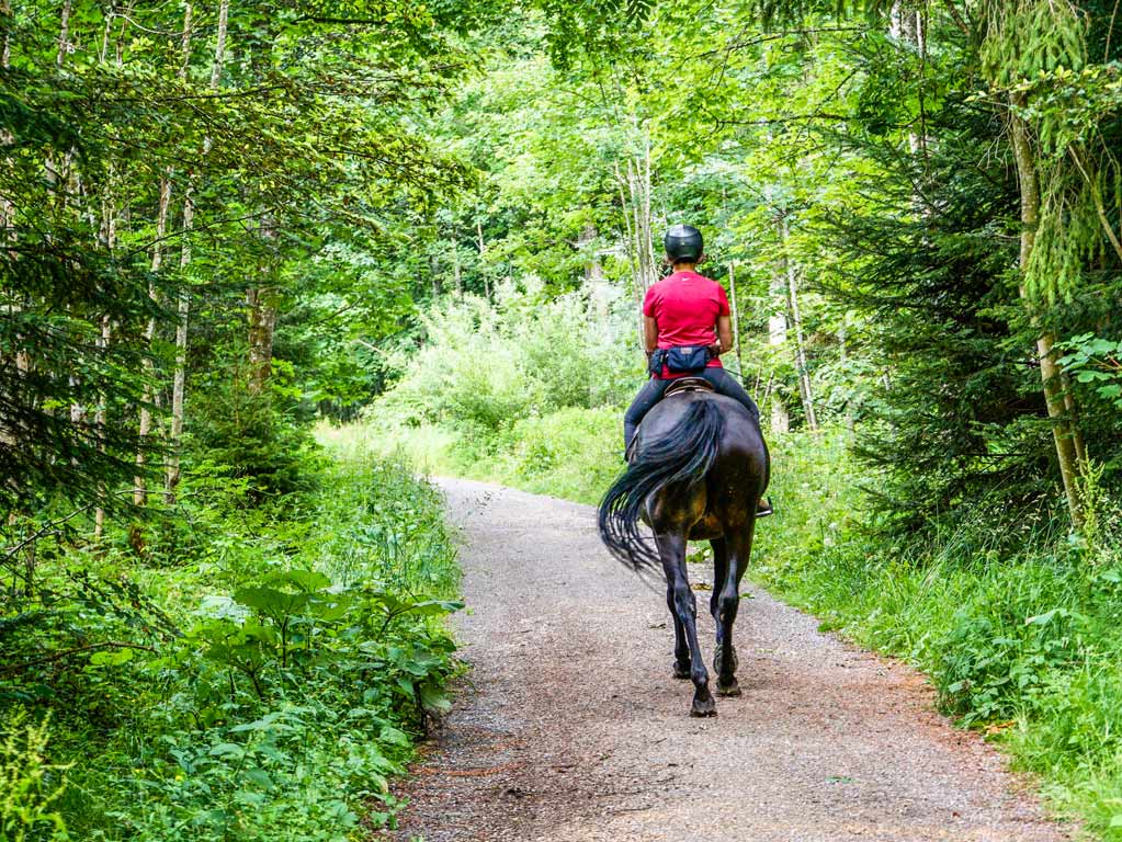 Gravescon horseback ride