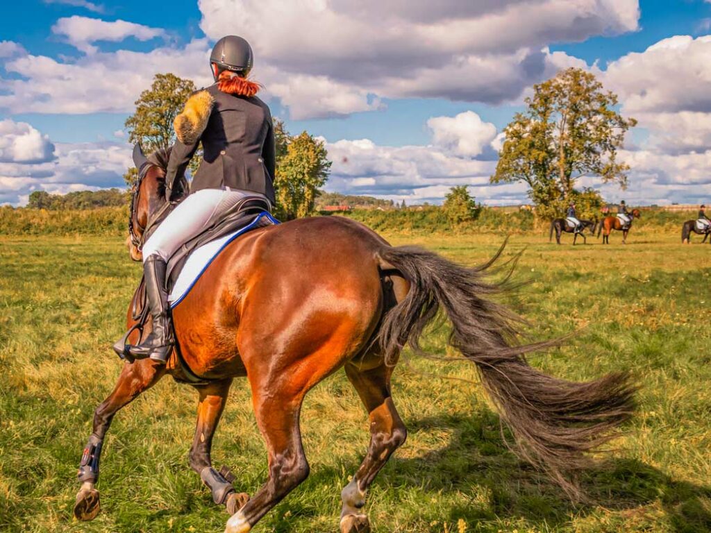 horseback riding in provence