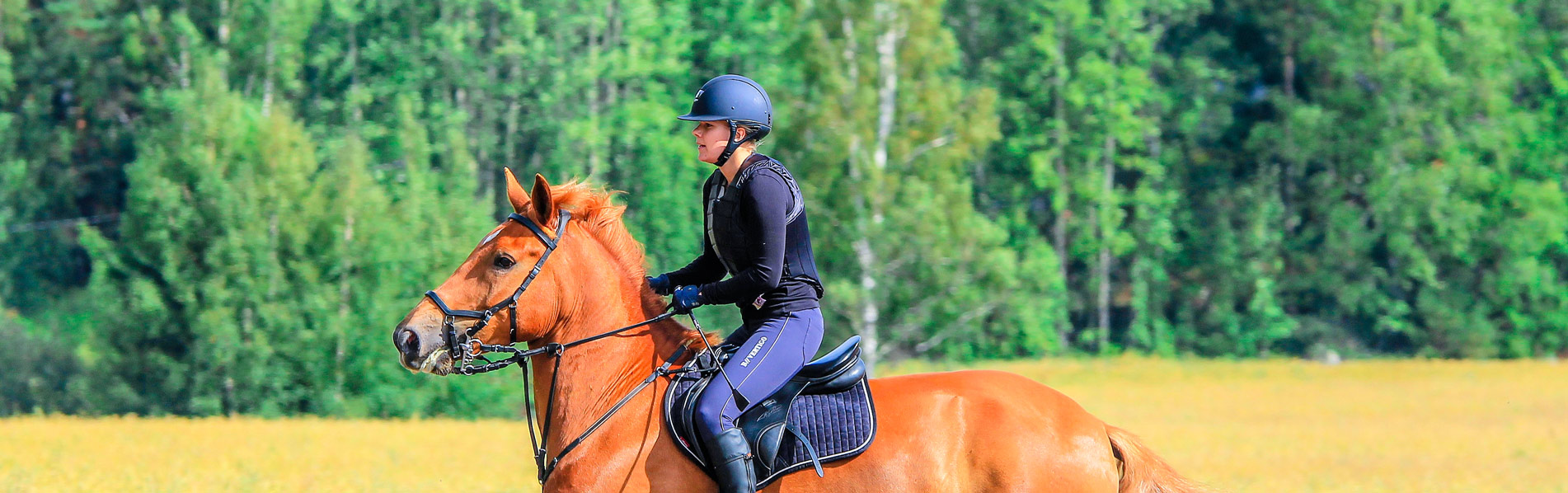 balade cheval equitation provence - Camping Les Micocouliers